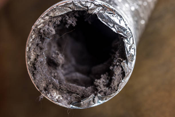 Best HVAC Air Duct Cleaning  in Ravensworth, VA