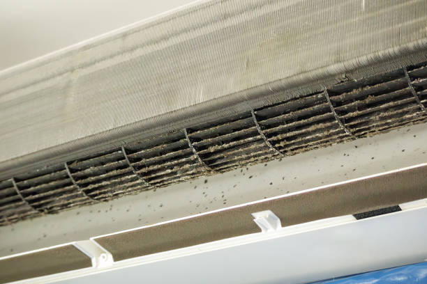 Best Dryer Vent Cleaning Services  in Ravensworth, VA